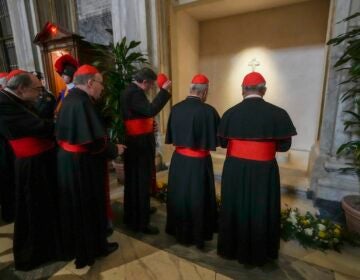 Cardinals visit the tomb of the late Pope Francis