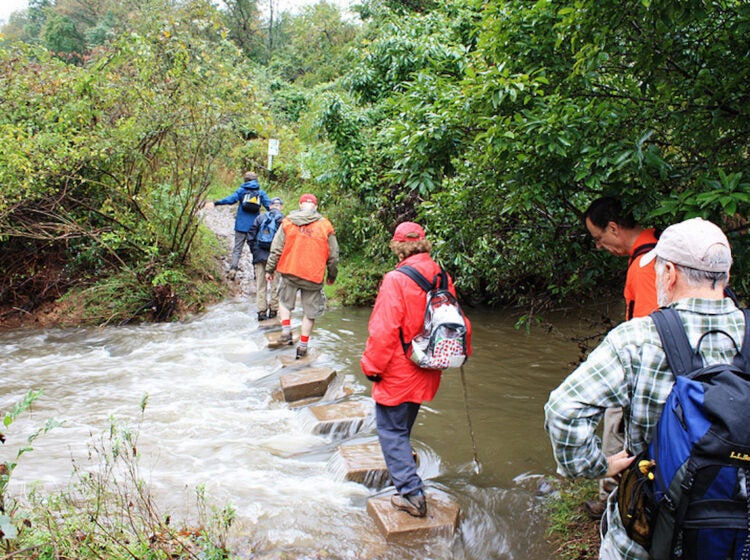 montco-annual-trail-challnege-EN-042225-02 Hikers crossing the Wissahickon creek