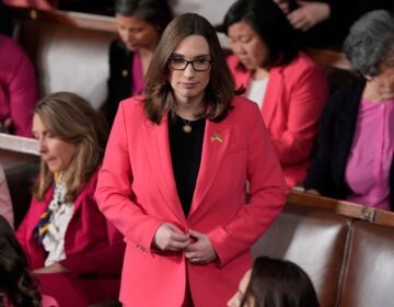 Sarah McBride in the House Chamber