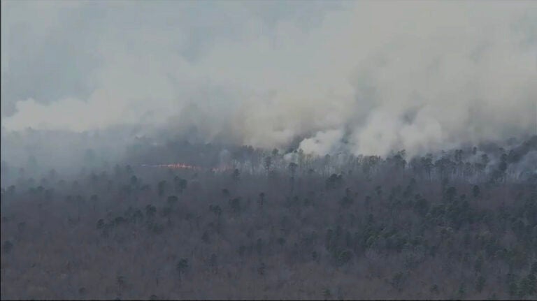 vineland_wildfire Smoke billows from a wildfire in a forest