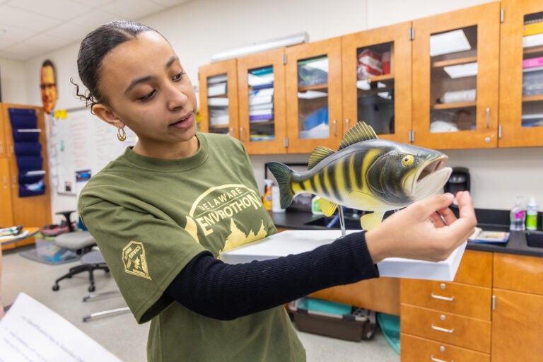 A student holds up a model of a fish in the classroom