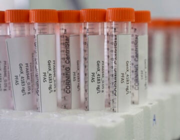 Vials containing samples of forever chemicals, known as PFAS, sit in a tray