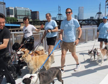 People walk their dogs on a new section of the Schuylkill River Trail