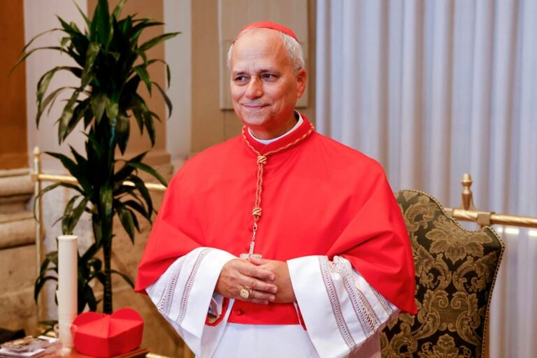 Cardinals-Profiles Robert Francis Prevost