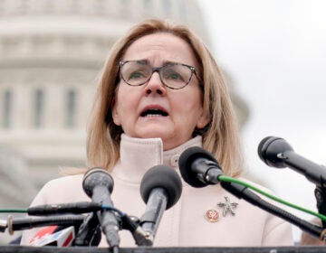 Madeleine Dean speaks