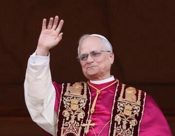 Pope Leo XIV waves to the crowd