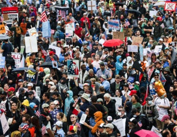 Protesters with the No Kings rally listened to speakers at the Philadelphia Museum of Art on June 14, 2025. (Kimberly Paynter/WHYY)