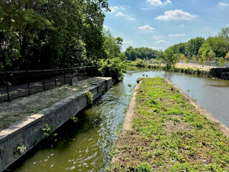 2025 06 26-z read-philadelphia manayunk-canal reopening fish Water flowing through the canal