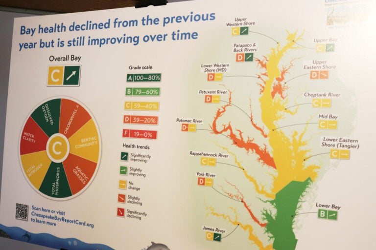 Chesapeake Bay Report Card A poster that describes the health of the Chesapeake Bay is displayed