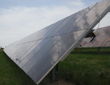 Solar Panels at Adams Solar Farm outside Gettysburg, Pa
