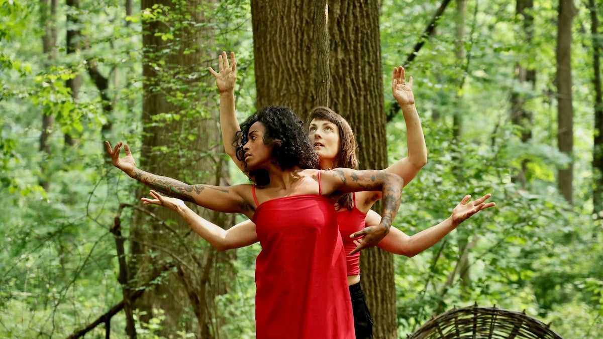 2025 06 11-e lee-philadelphia schuylkill center-experimental dance performance terra tree Dancers perform in the woods of the Schuylkill Center