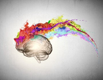 Conceptual image of human brain in colorful splashes