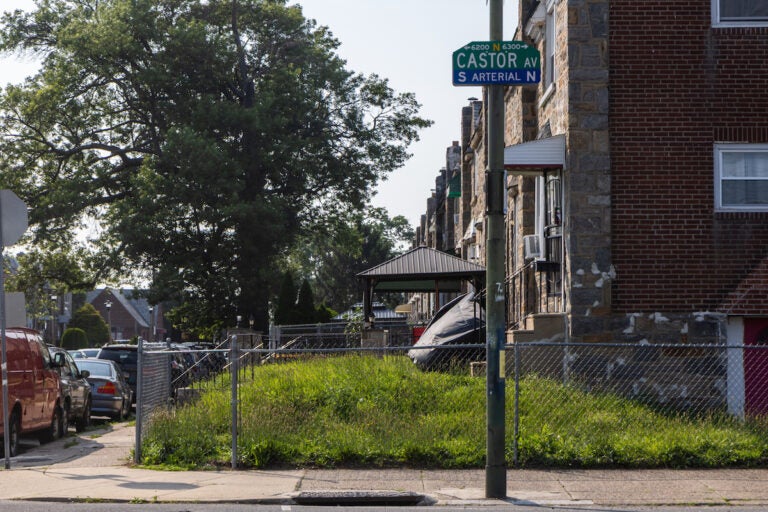 Castor Ave. in Northeast Philadelphia. (Kimberly Paynter/WHYY) Castor Ave. in Northeast Philadelphia
