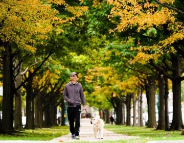 A person walks a dog on an autumn morning in Philadelphia