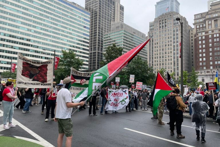 Pro-Palestinian protestors participate in the 