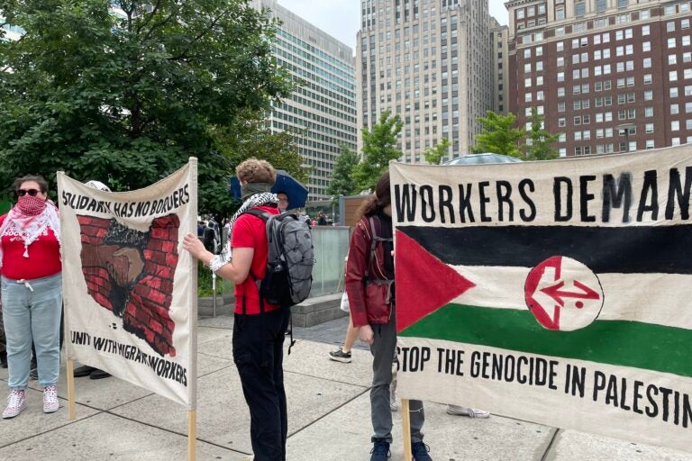 Pro-Palestinian protestors participate in the 