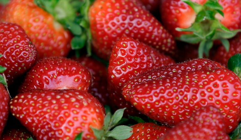 Hepatitis Outbreak Strawberries strawberries