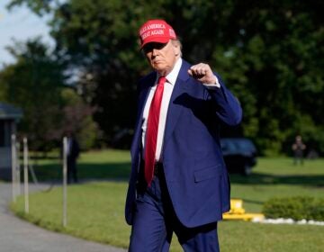Donald Trump pumping his fist