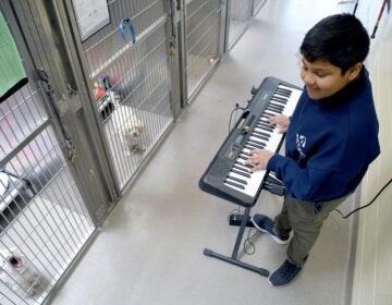 Yuvi Agarwal plays the keyboard for dogs at the Denver Animal Shelter