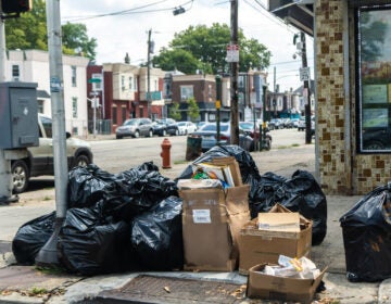 Trash on the curb in the Hunting Park section of Philadelphia