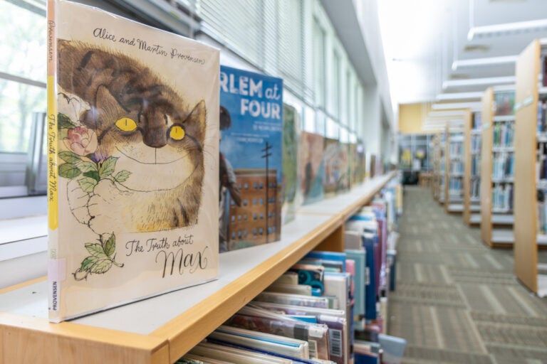 a close-up of books in the children’s section of the Willingboro Public Library
