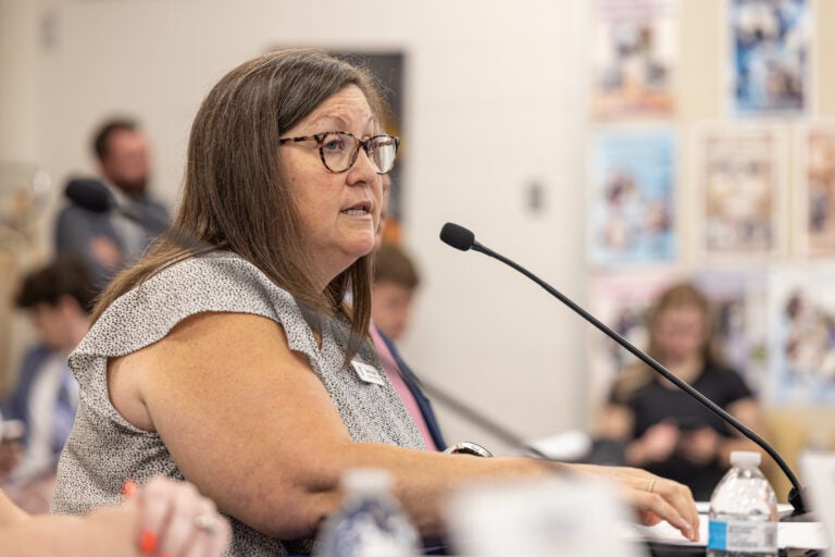 Tami Unger speaks at the hearing