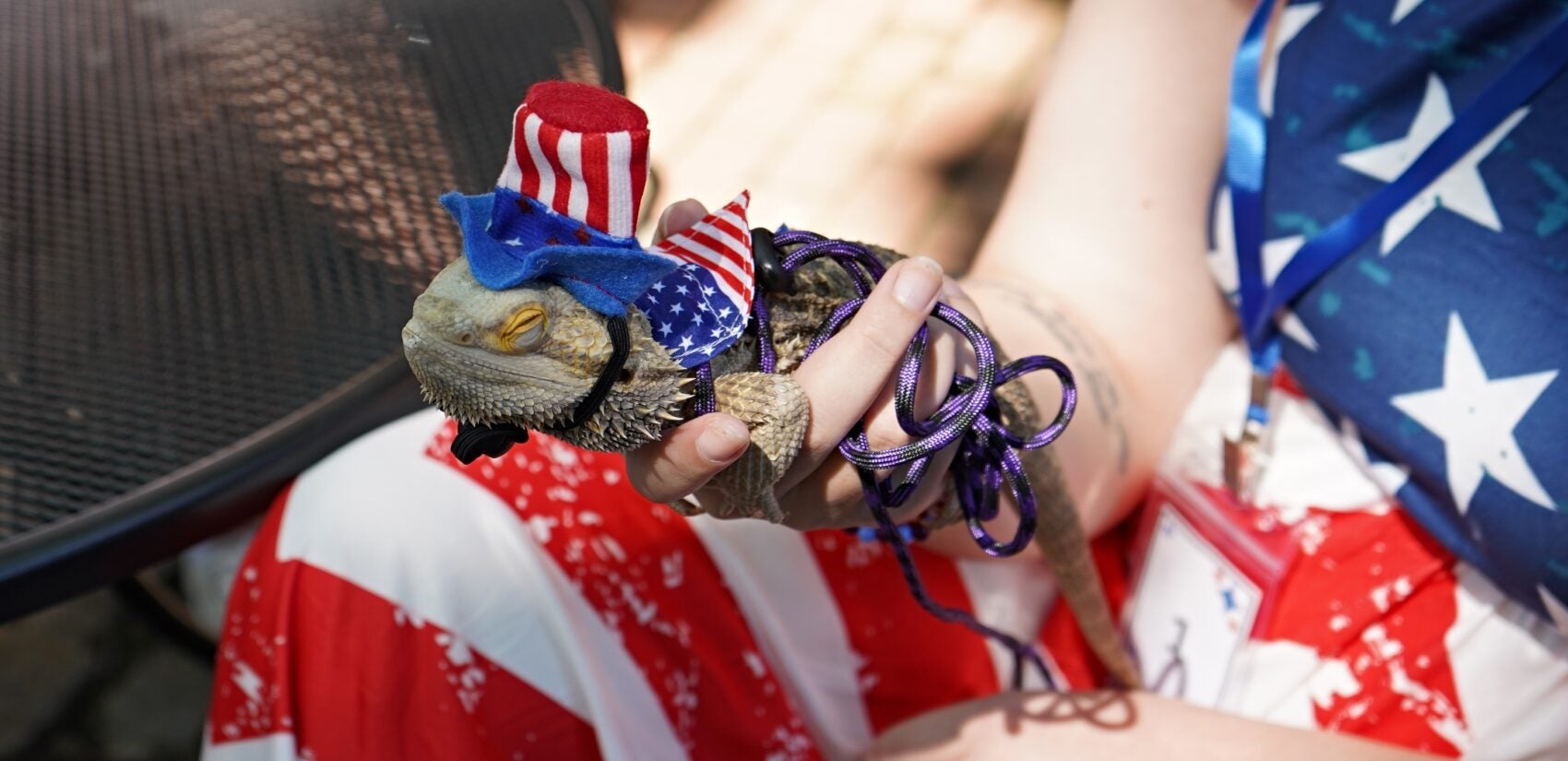 2025 07 04-n kariuki-betsy ross house pet parade ozzy bearded dragon A person holds a bearded dragon