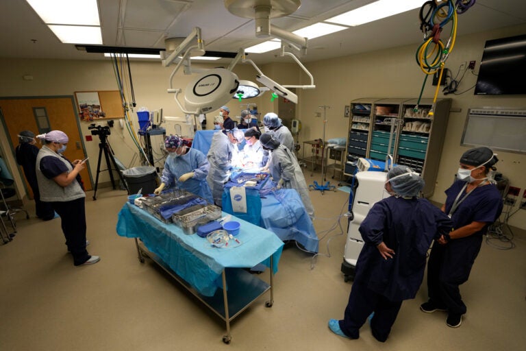 An organ recovery team works to remove the liver and kidneys from a donor June 15, 2023, in Jackson, Tenn.  (AP file photo/Mark Humphrey)
