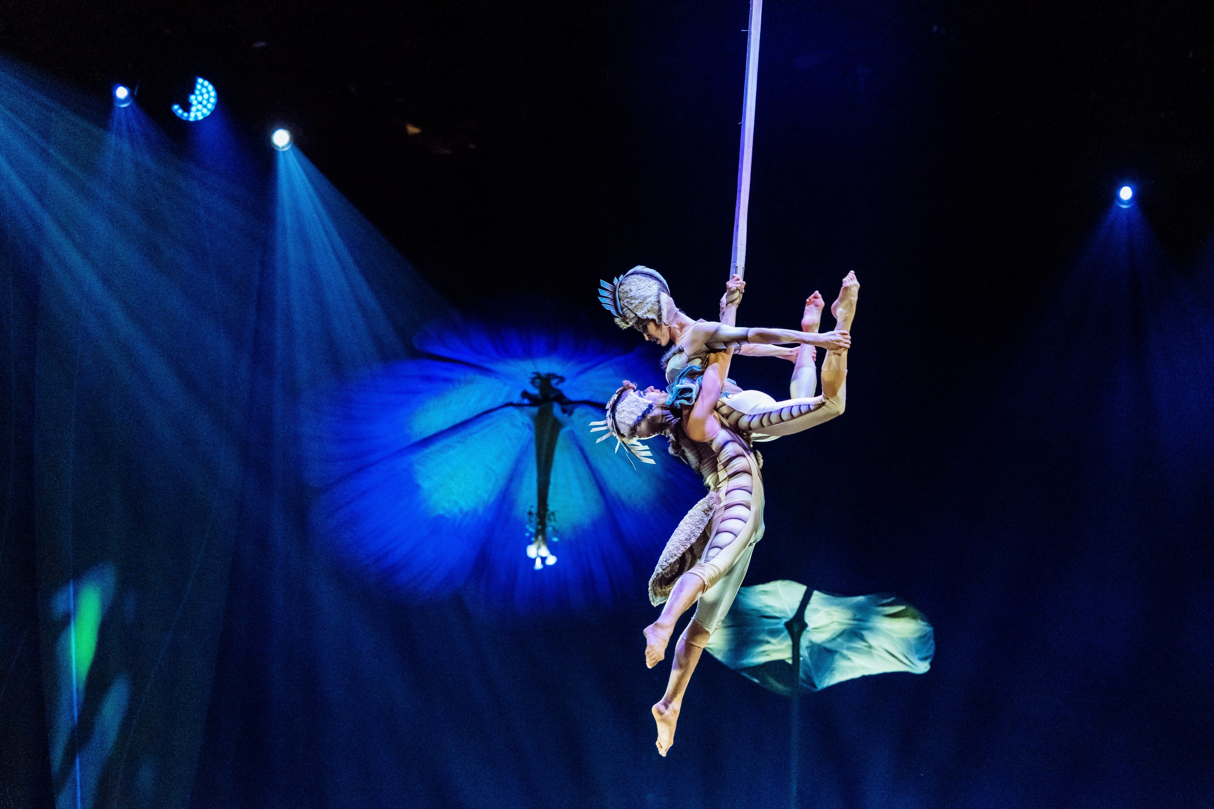 a Cirque du Soleil performer swinging