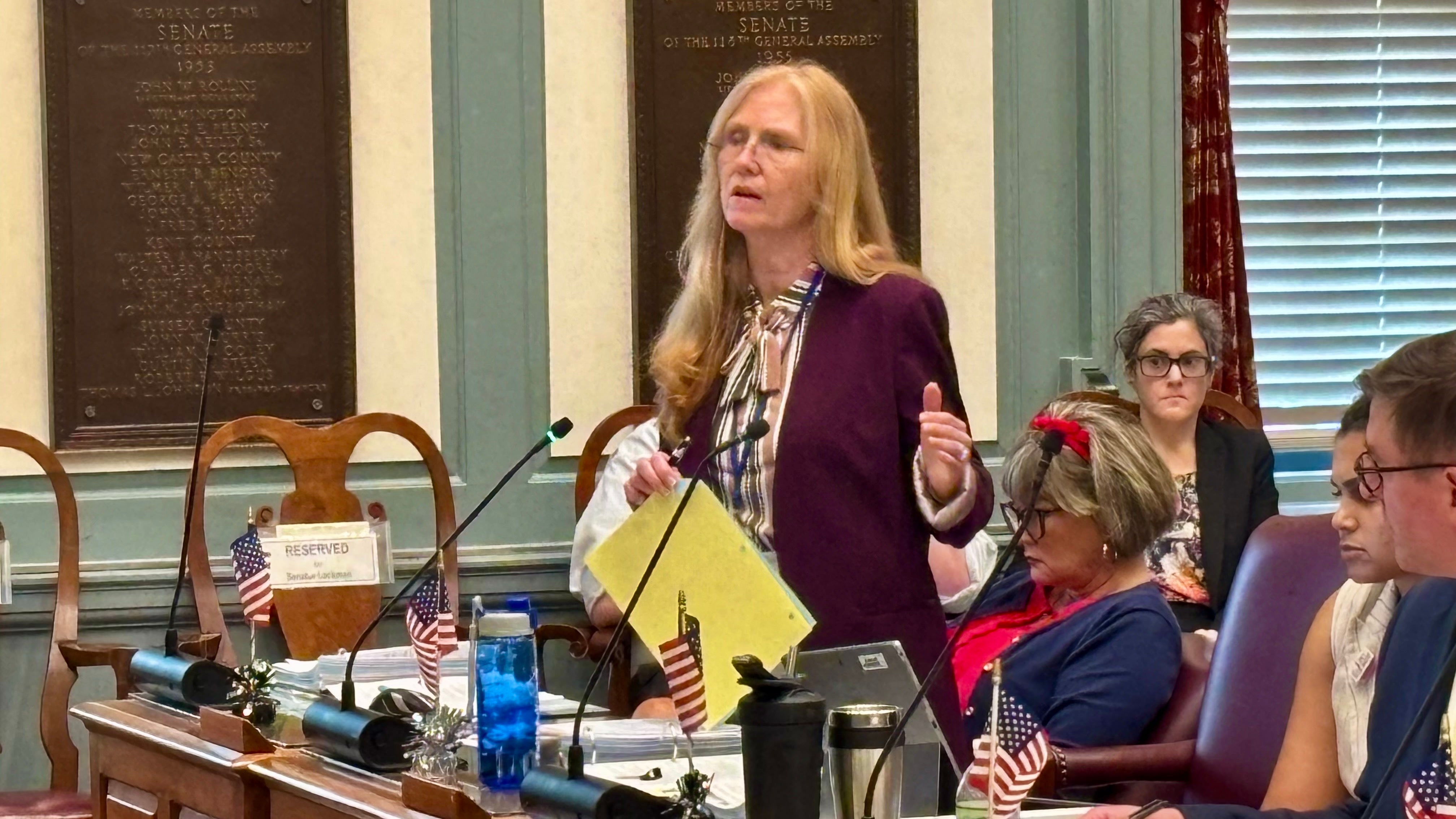Stephanie Hansen speaks in Legislative Hall