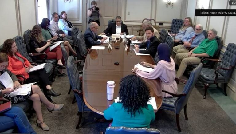 delaware_financial_disclosure_committee_meeting_07042025 Delaware legislators sit around a roundtable during a House committee meeting