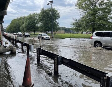 FDR Park flooded