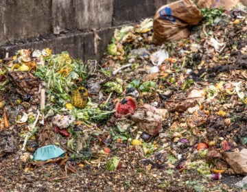 A close-up of decomposing food scraps at a Bennet Compost facility.