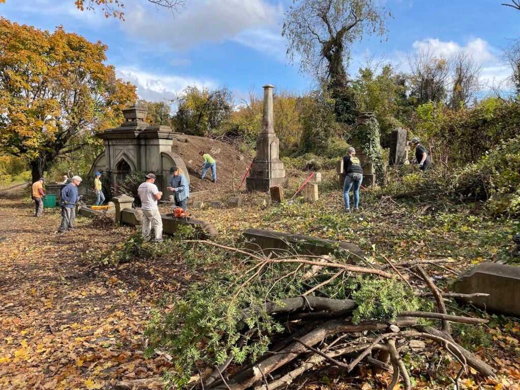 Volunteers clearing overgrowth in a cemetery