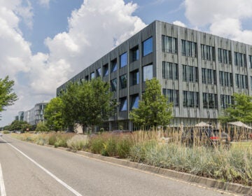 Modern office buildings at the Navy Yard