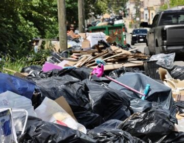 Trash accumulates along Wyalusing Avenue