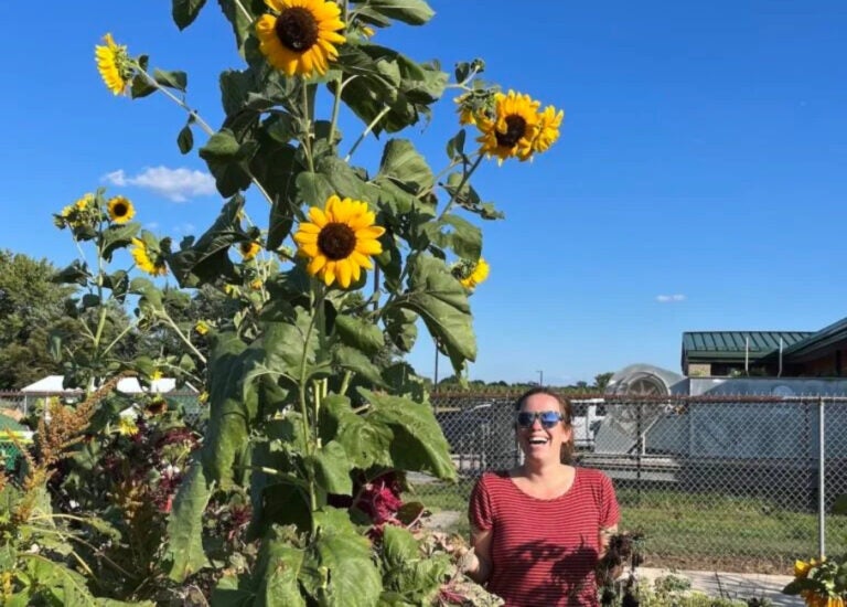 snac-garden-5-768×595-file-delaware An educator looking at a sunflower