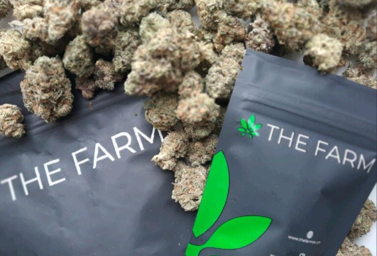 the-farm-dispensary-Delaware marijuana from The Farm
