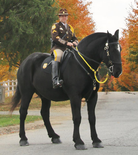 Tonka on the street, with an officer riding him.