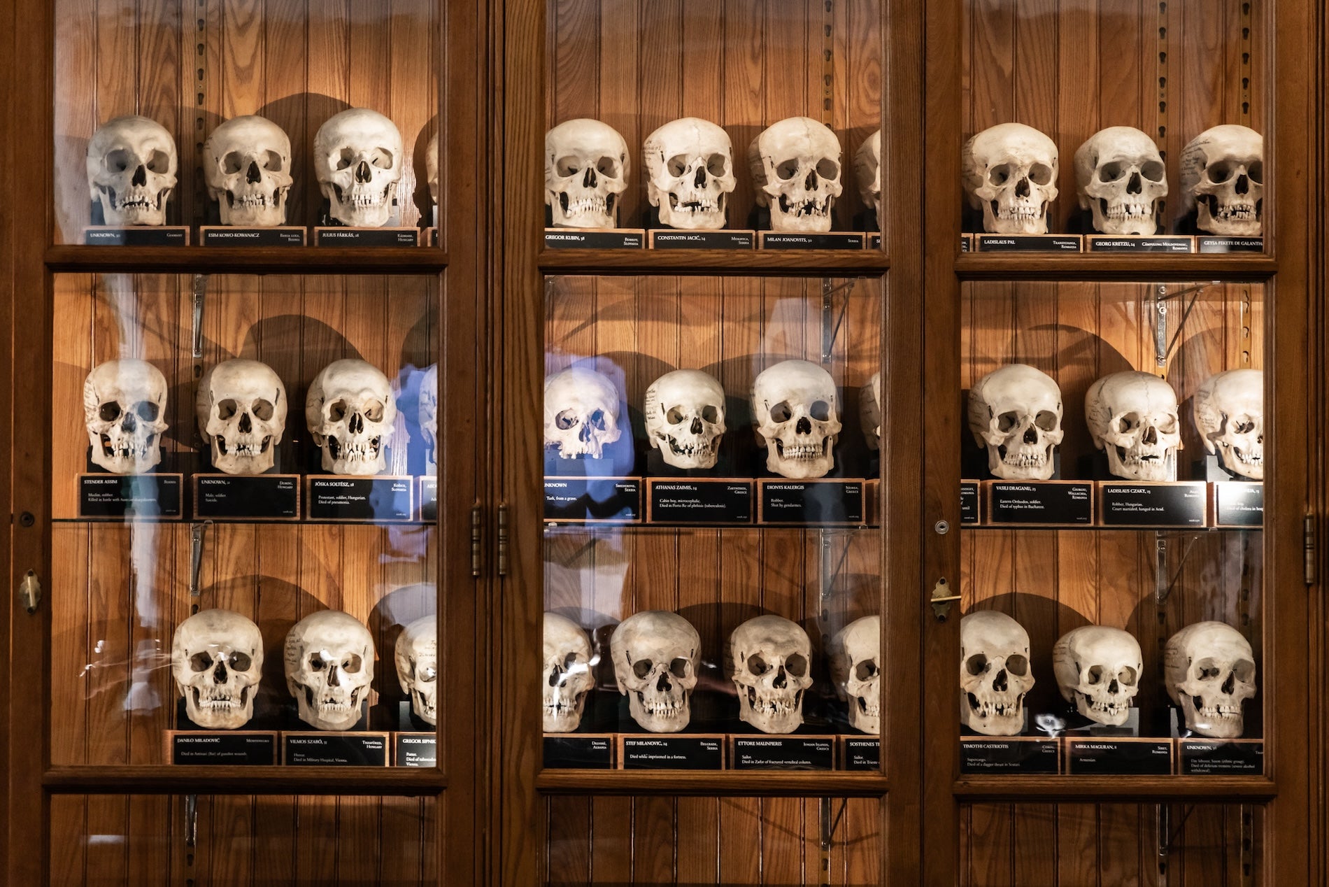 Mutter Museum　Historic Medical Mütter Museum Historic Medical Photographs by College of