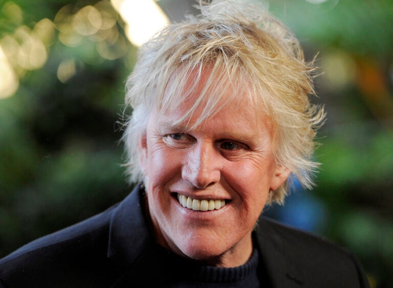 Actor Gary Busey