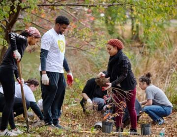 a group of people working to clean up a park