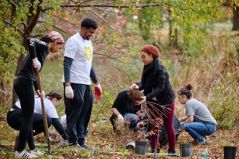 LoveYourPark Fall Service Day a group of people working to clean up a park