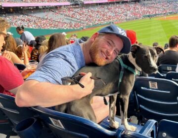 Adam Fishbein with a dog in the stands at a baseball game