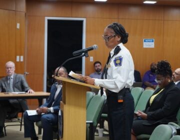 Katrina Blackwell addressing members of the Council from a podium