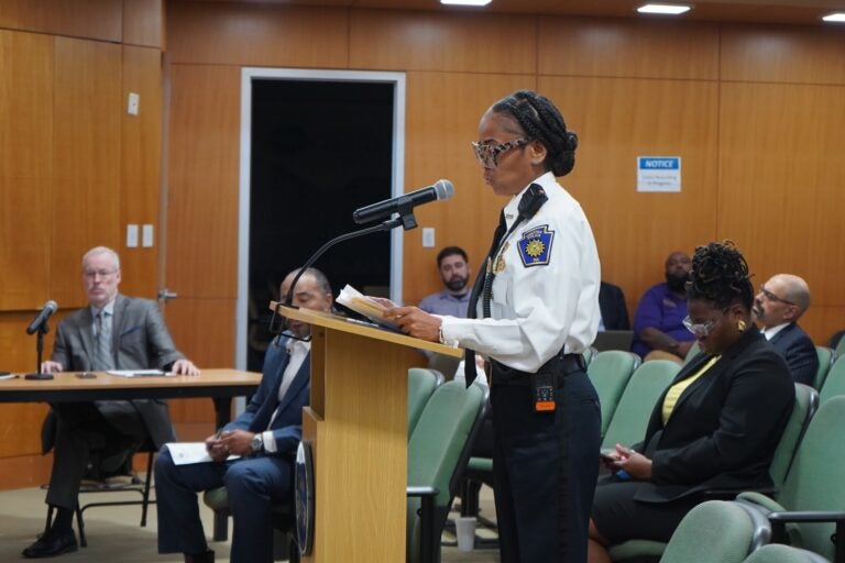 chester-council-meeting-k-cooper-2025-08-27-3 Katrina Blackwell addressing members of the Council from a podium
