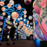 chinese-lantern-festival-
