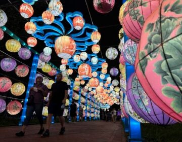 Philadelphia Chinese Lantern Festival