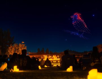 Drone show in the sky