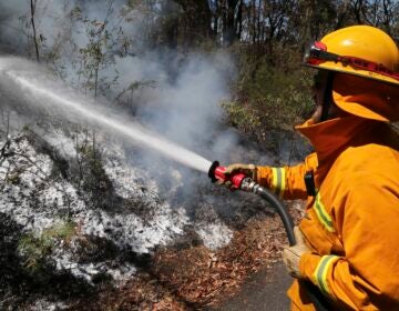 A firefighter sprays foam on smoldering bush